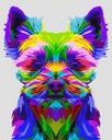 Yorkie T_white