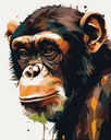 Chimpance Art